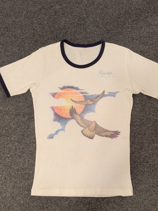 Vintage Tops - 1979 Vintage Cream Ringer Hawaii Tee w Sunset & Shoreline Graphic Soft T Shirt